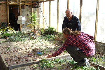 In Peter Korn's bulb house