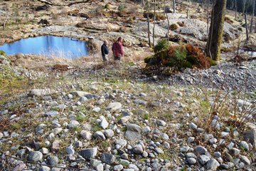 View of Peter Korn's rock garden from above