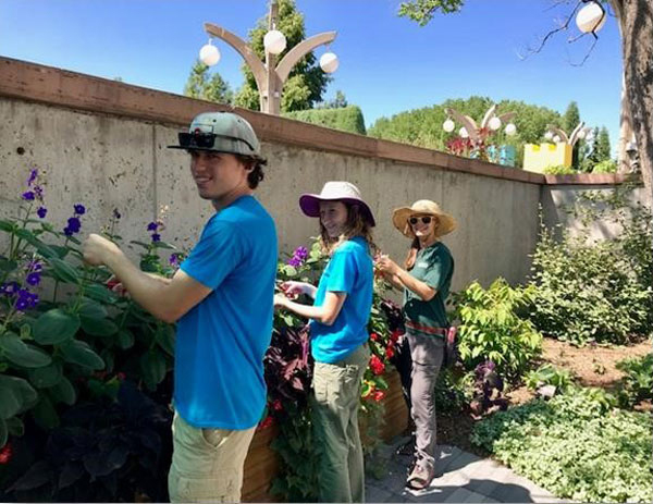 Groundskeepers Tyler O’Neil, Jocelyn Schilling and Horticultural Therapy Intern Gina Sferrazza working in the Sensory Garden