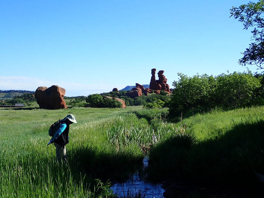 Sandstone Ranch: Douglas County’s Newest Open Space | Denver Botanic ...