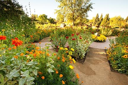 Lainie's Cutting Garden