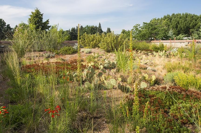 Green Roof