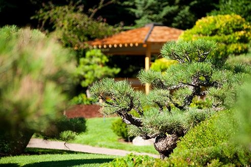 Shofu-en Japanese Garden