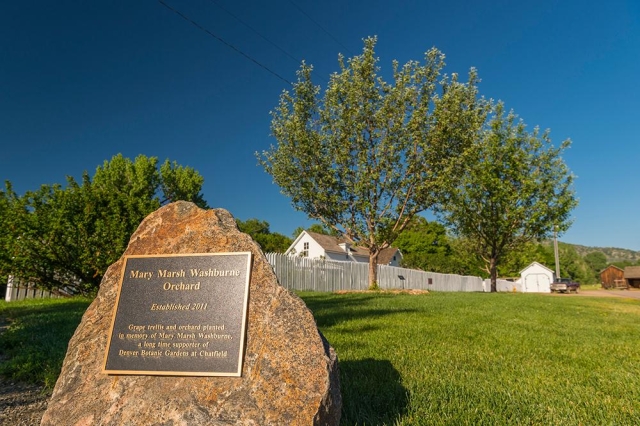 Mary Washburne Orchard