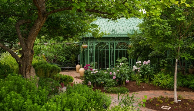 Green structure surrounded by trees