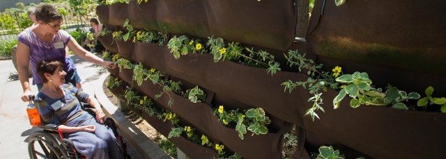 Sensory Garden at Denver Botanic Gardens banner