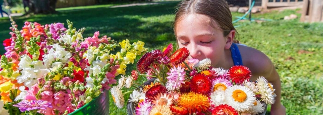 Flowers and child at Chatfield Farms