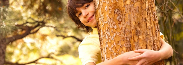 Child hugging a tree