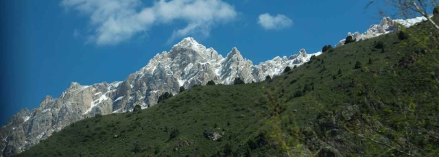 Snow covered mountains in the background with rocks and a green field in the foreground