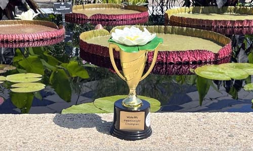 a small trophy with fake waterlily on top in front of waterlily pond