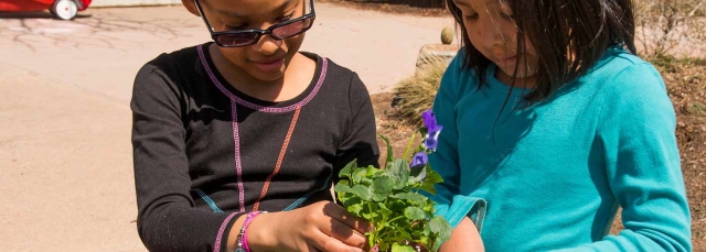 Two children holding a plant