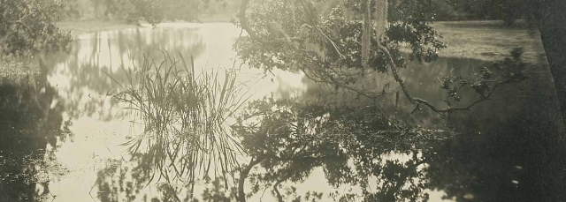 Yojiro Imasaka, “Wet-Land #74” (detail), toned gelatin silver print, 2021.