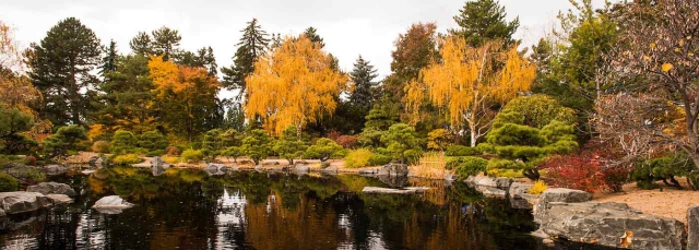 Trees with fall colors are reflecting in the water in the Japanese Garden.