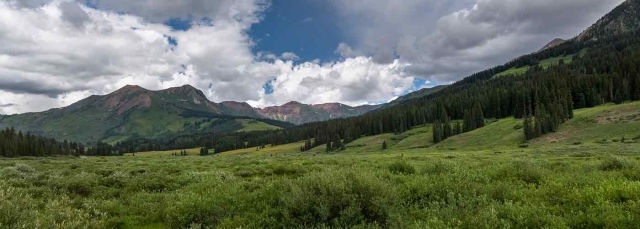 Mountains with a blue sky and white clouds in the background. Fir tress and green bushes in the foreground. 